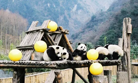 26ef4975c9dfee73afb3e891939f2efc-sz_66392