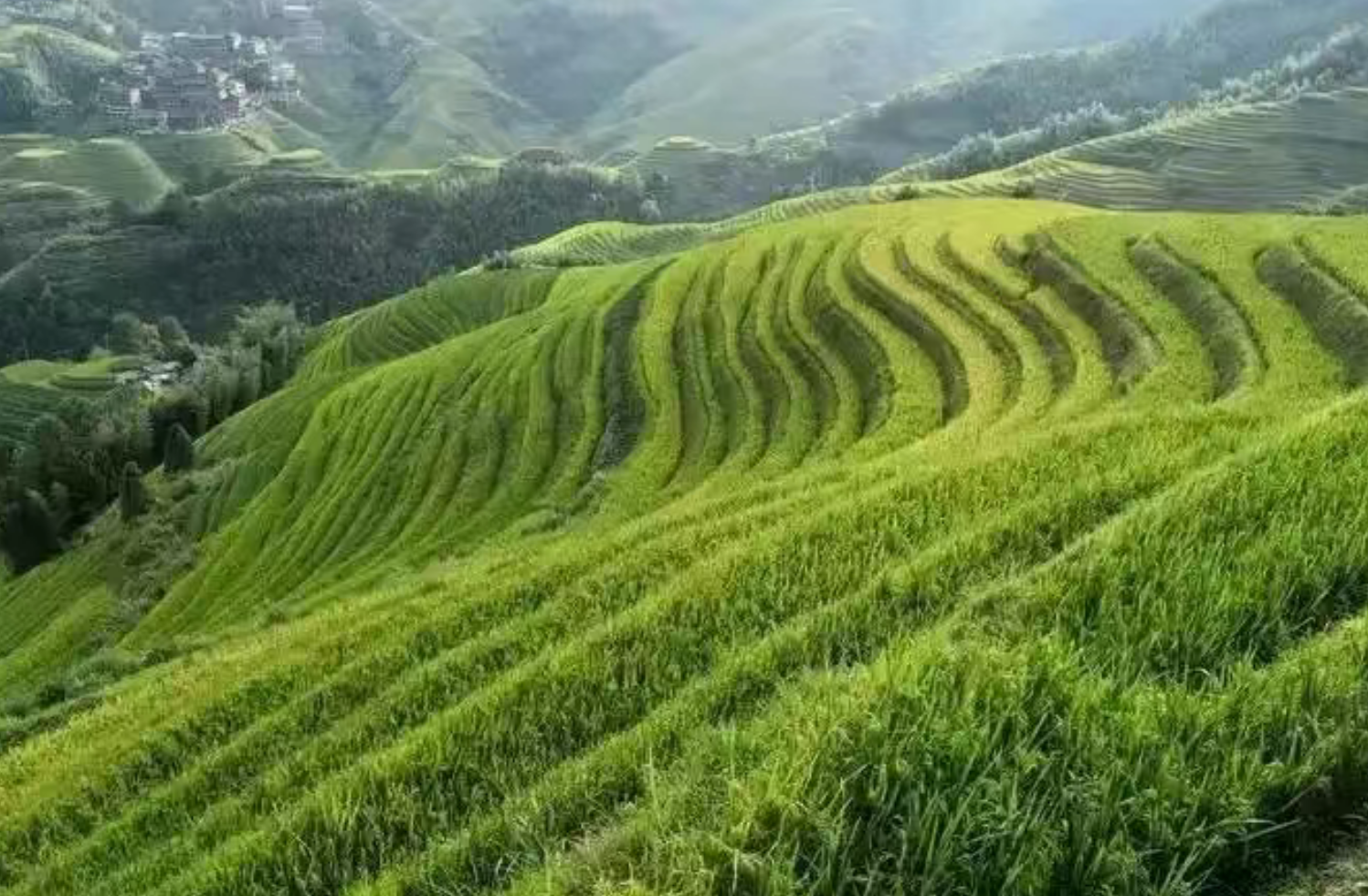 26fa30eab19a4c68cd368822e180009d