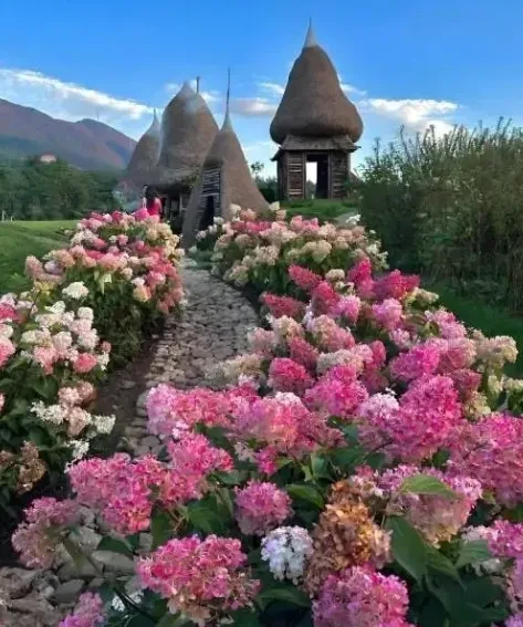 2724d95a81fbbdf94fc3be01fc175eef-sz_675835