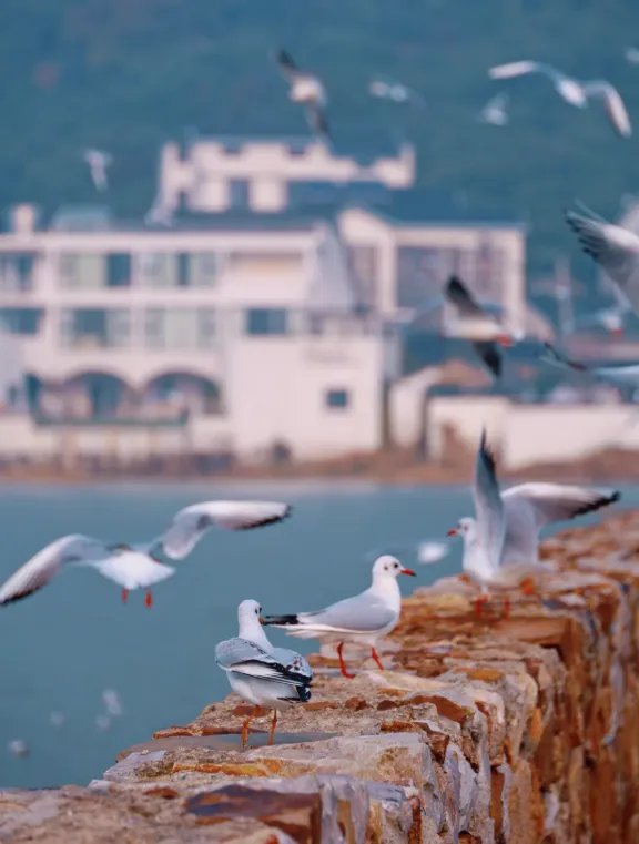 274e684be1b5f2fc8fdfd11cd756d530-sz_610232-1