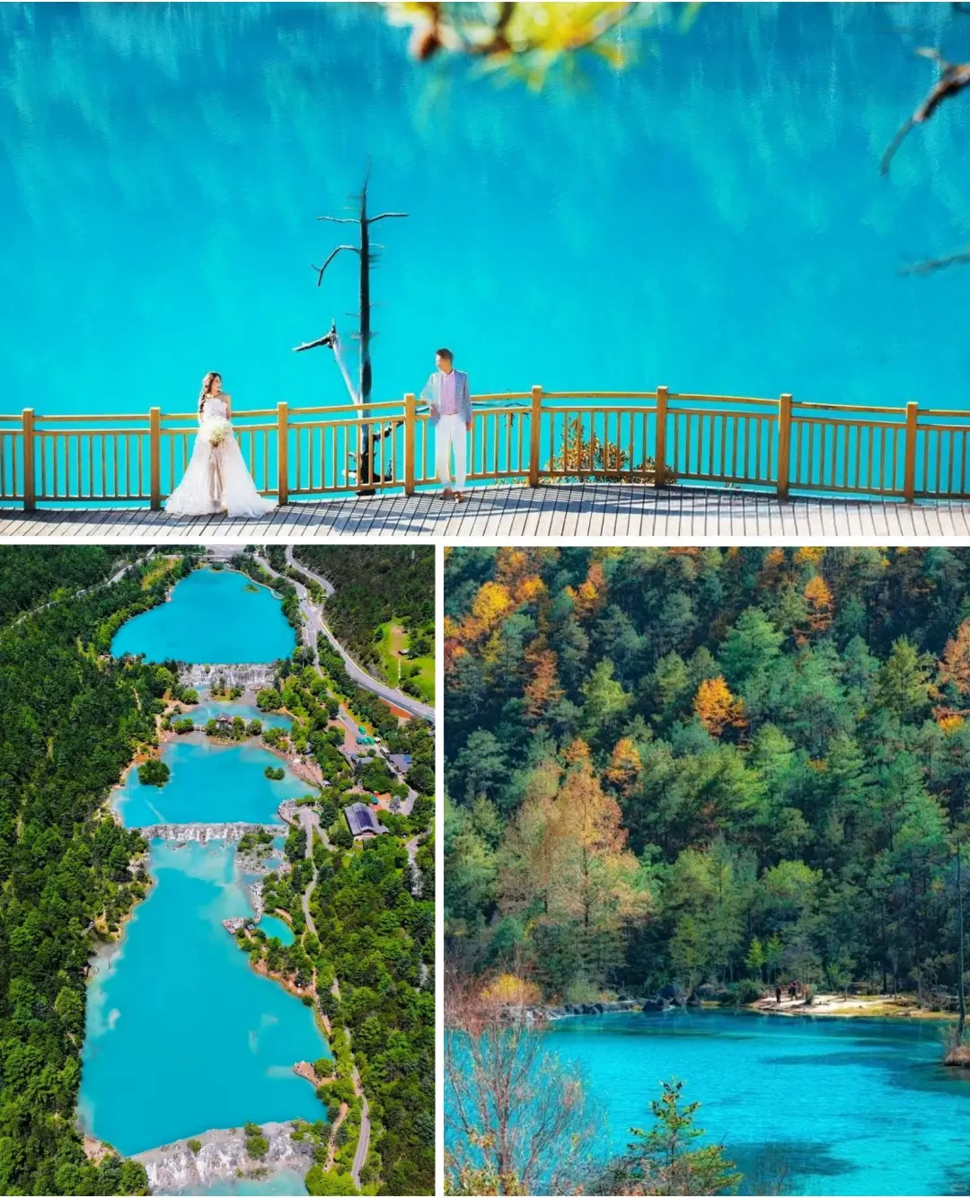 275c70e0325d5886312b59131bd8b132-sz_531824