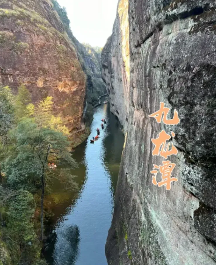 2773841e890958b430515840ac4b72fa-sz_1816811