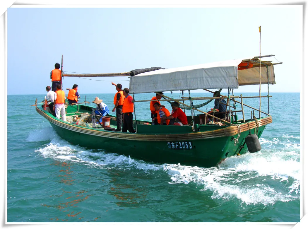 2782ce8a7d924a9f0c7b163ccf75c884-sz_1733672