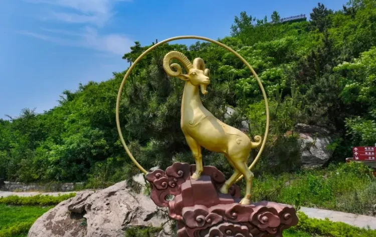 279d25aba70d9b7c25a5cb0463c87dad-sz_172691