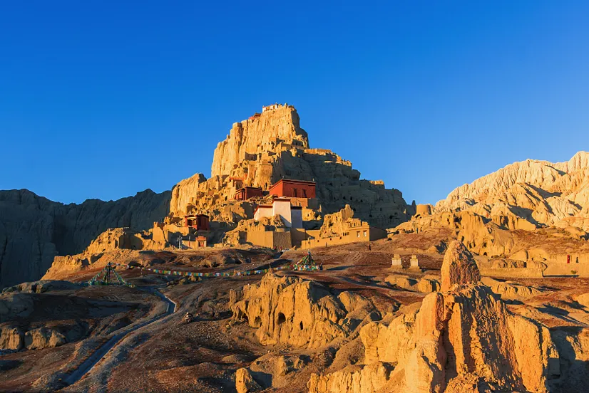 27c8534037017638d9e688b50c335557-sz_1162637