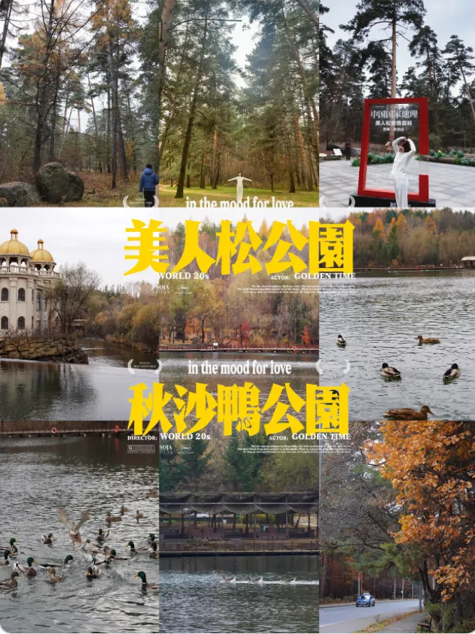 27e76f2e50f2d87d2591f524d0ebd173-sz_1134126