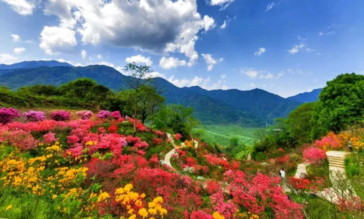 27f5ed891409857bfcc050920bfd008e-sz_1281770