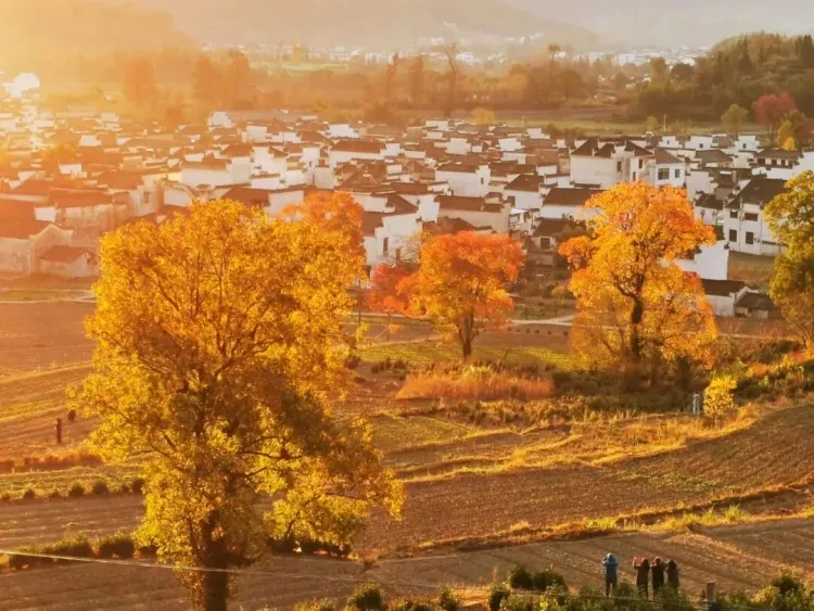 280c32a8dcdbf5bfb832baefeb75d4c3-sz_182277 280c32a8dcdbf5bfb832baefeb75d4c3-sz_182277