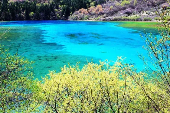 28164ab3559249a5d9157aaef0886b56-sz_112592