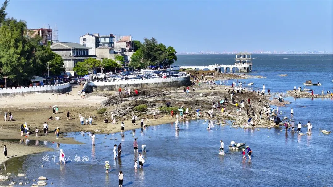 285d8041bc622ac5dd20bad221822271-sz_155351