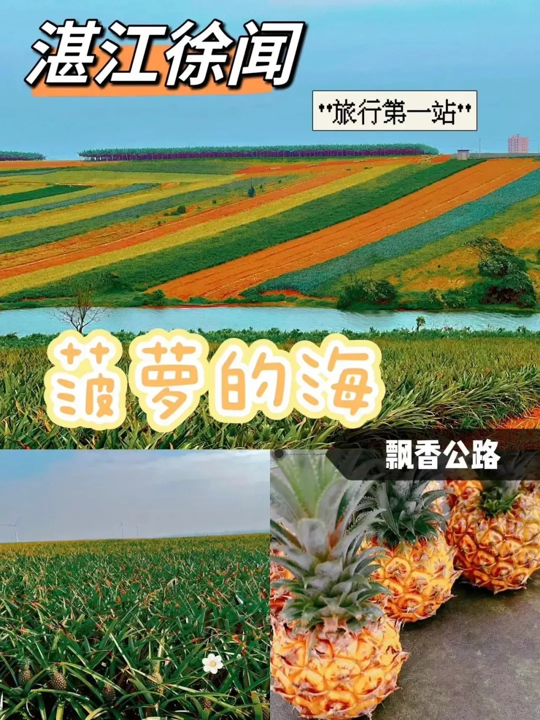 2866835da5081df2ca8d4de9633a4dfc-sz_2418678-1 2866835da5081df2ca8d4de9633a4dfc-sz_2418678-1