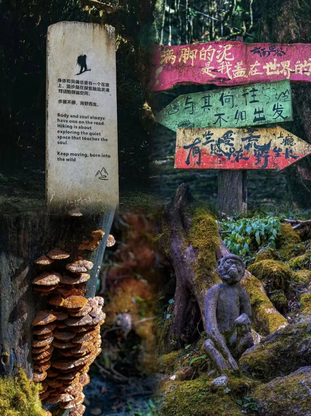 287770cacd5776544092411929caeedb-sz_1421088