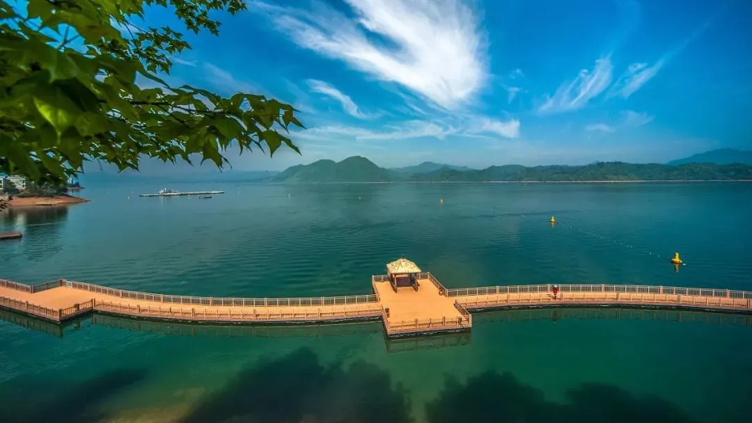 28889c0e152079eb433feb8b33898459-sz_81379