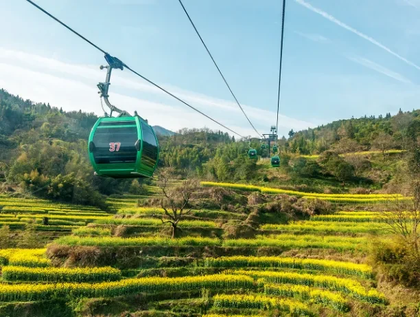 28af7f73109b6e049c63ea69a904d626-sz_709148