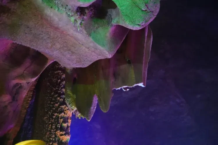 28e3453b273fd48b0441af12e8e49a49-sz_82435