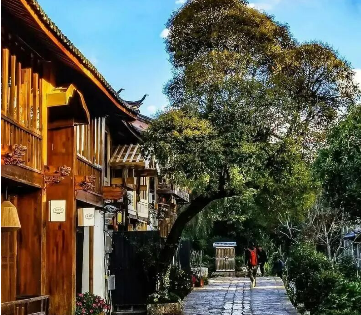 28e5c0567c8e3442e47f316675cd218a