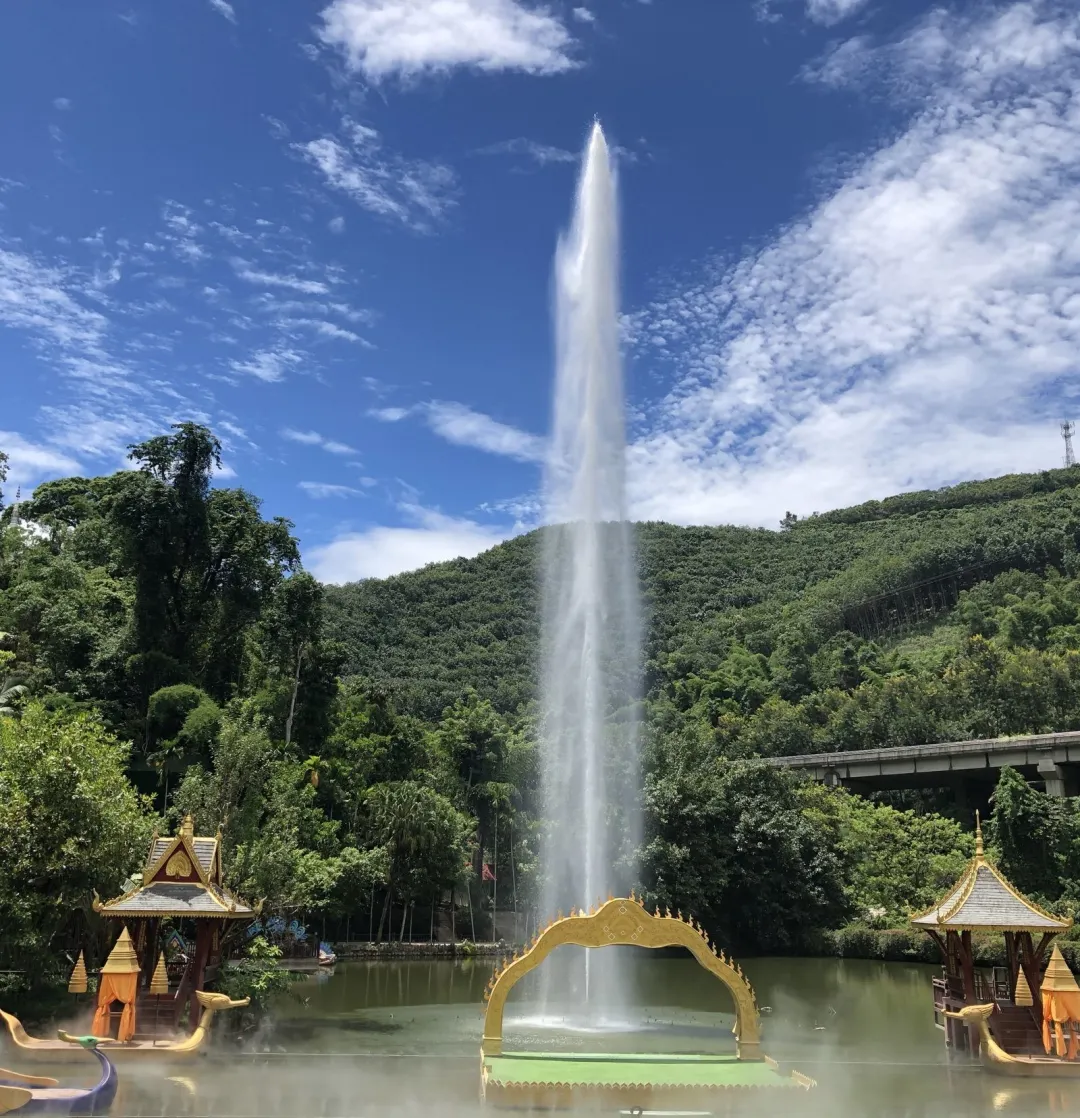 28ed42fb869030a23a23938c9ddeadf3-sz_500617