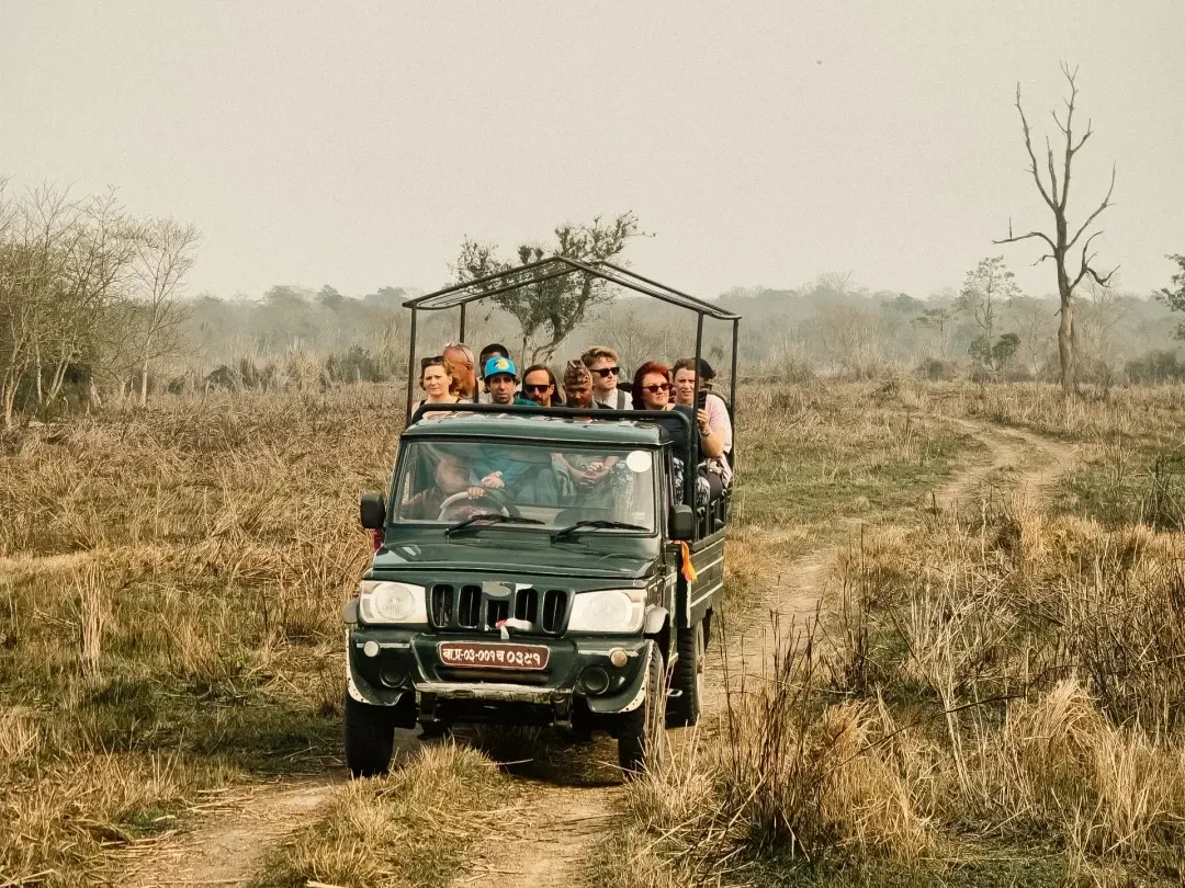 2920630ed097d254f52e00d6f4dcc326-sz_519744