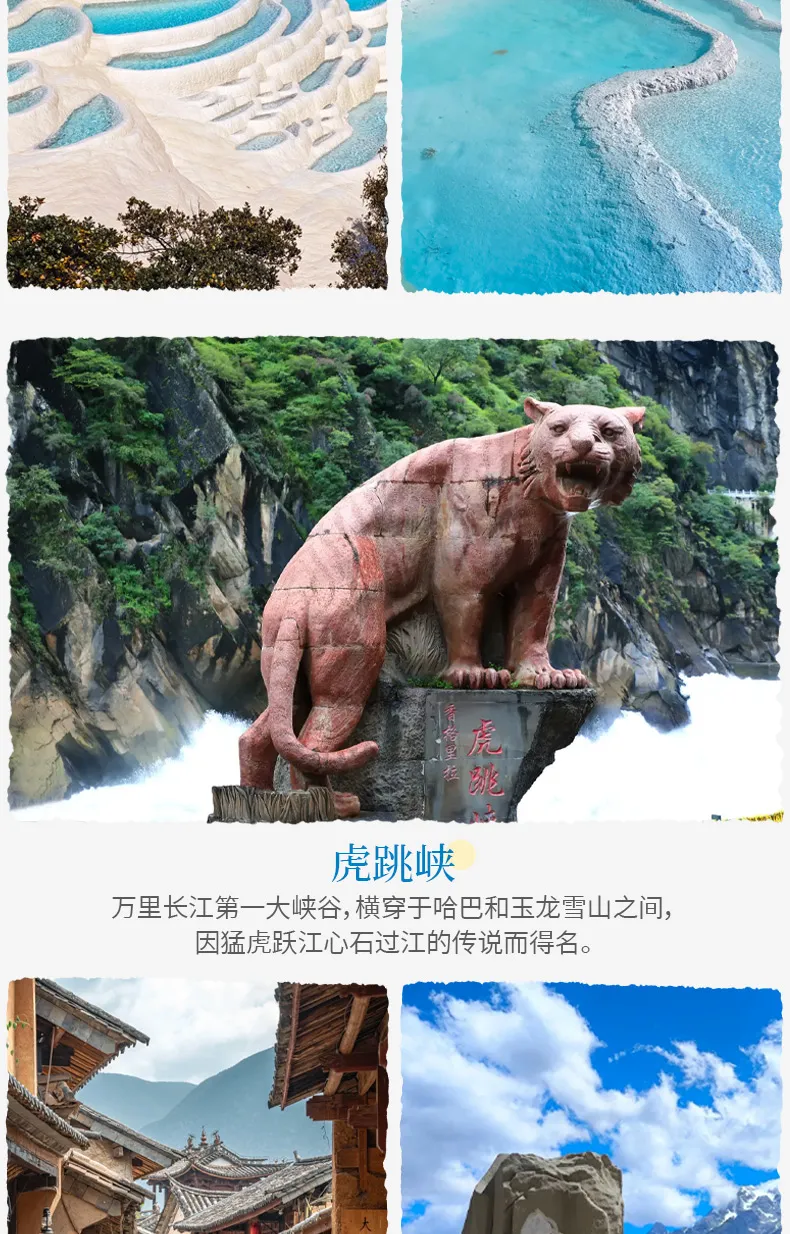 294338a8de723a7430b17d8d3411e736-sz_378344