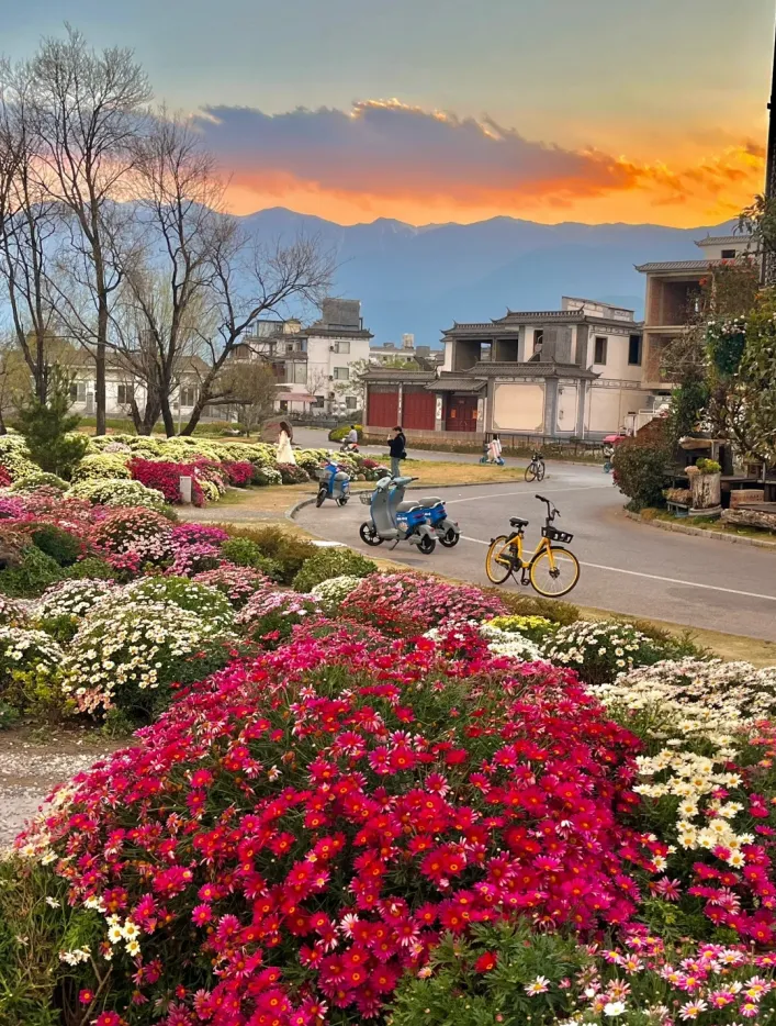 29c5e66382a0799bc98fbb66ffd12aa1-sz_1890741