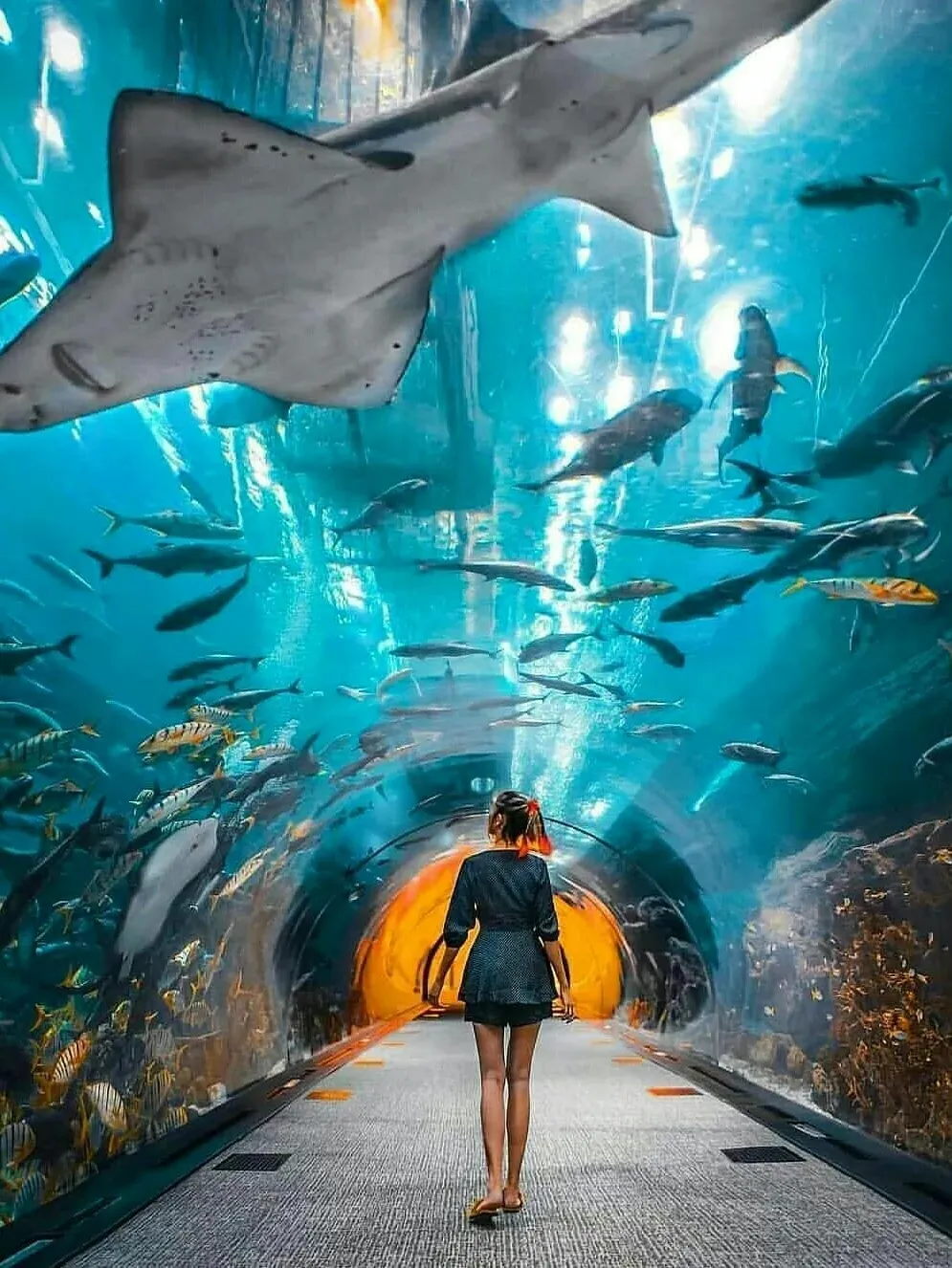 29f19ee3d8c0ede403e749061be25995-sz_312371