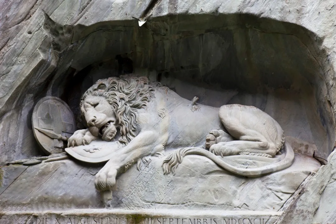 29f5985802799ebde8a8b6d6e42ad9b8-sz_607378