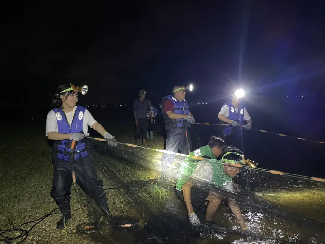 29f9f6b87f9edabf762ea6f74b965129-sz_242299