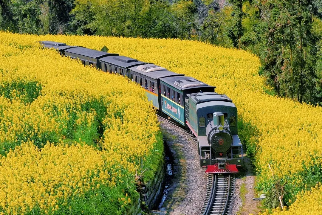 2a097bbe80ef19e9d4d5393c408f2a45-sz_799108-1 2a097bbe80ef19e9d4d5393c408f2a45-sz_799108-1