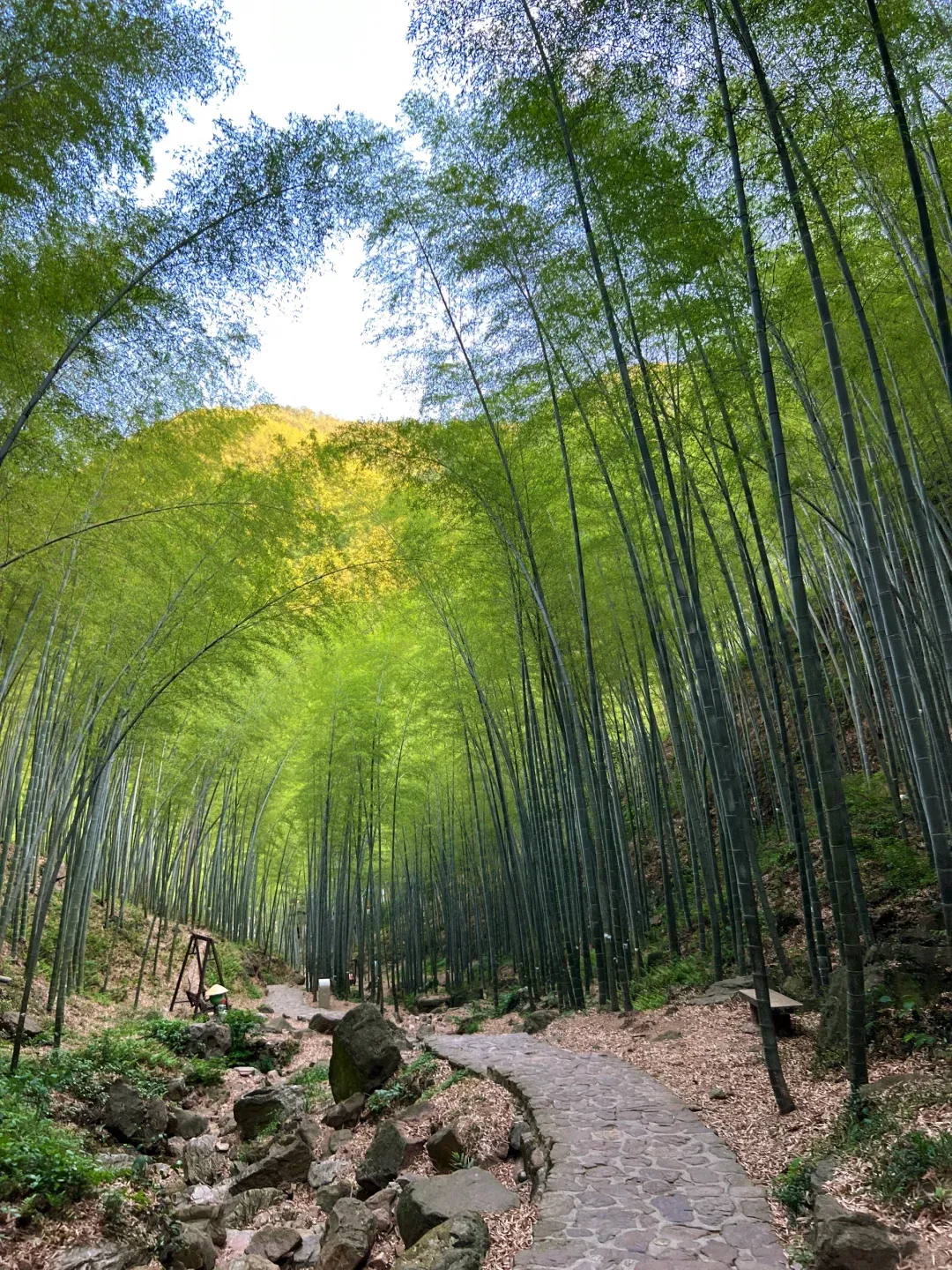 2a1f2a2f29b8056df348e9c177392f0c-sz_3498419