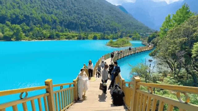 2a7aeb5e4d95c39a631778d94471eed5-sz_3216021