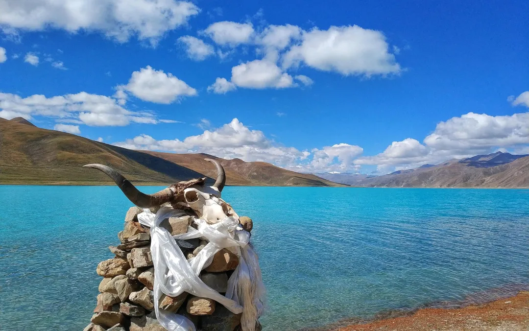 2ab556b2875831abde2de5c60e834fb9-sz_8229115