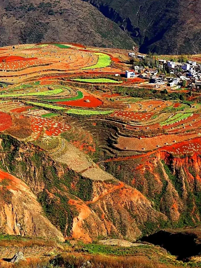 2acfca3462510a2cb260a95542af894c-sz_2621182