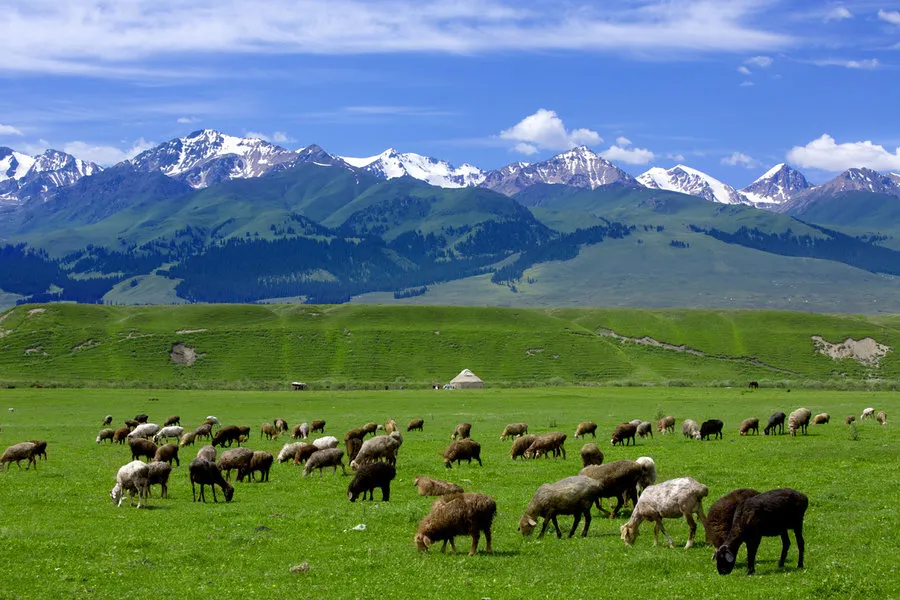 2ada1f4becfc6a794acdb81cf4a1bccf-sz_190461