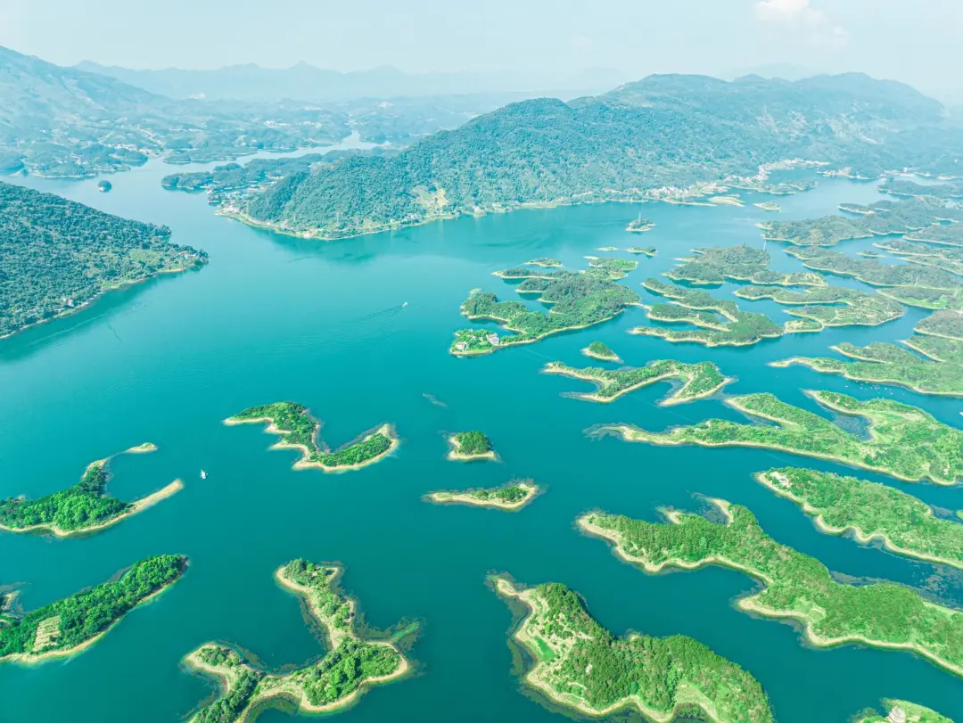 2b394275a9104b7c0790d42f3f629f4f-sz_617537