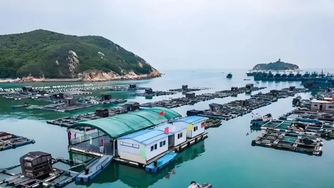 2b55d0c6b417771558c418039982ec15-sz_366270