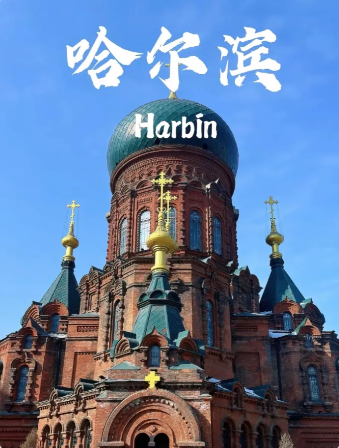 2ba0089df3a6d88222cfb2db3e37df2a-sz_786569