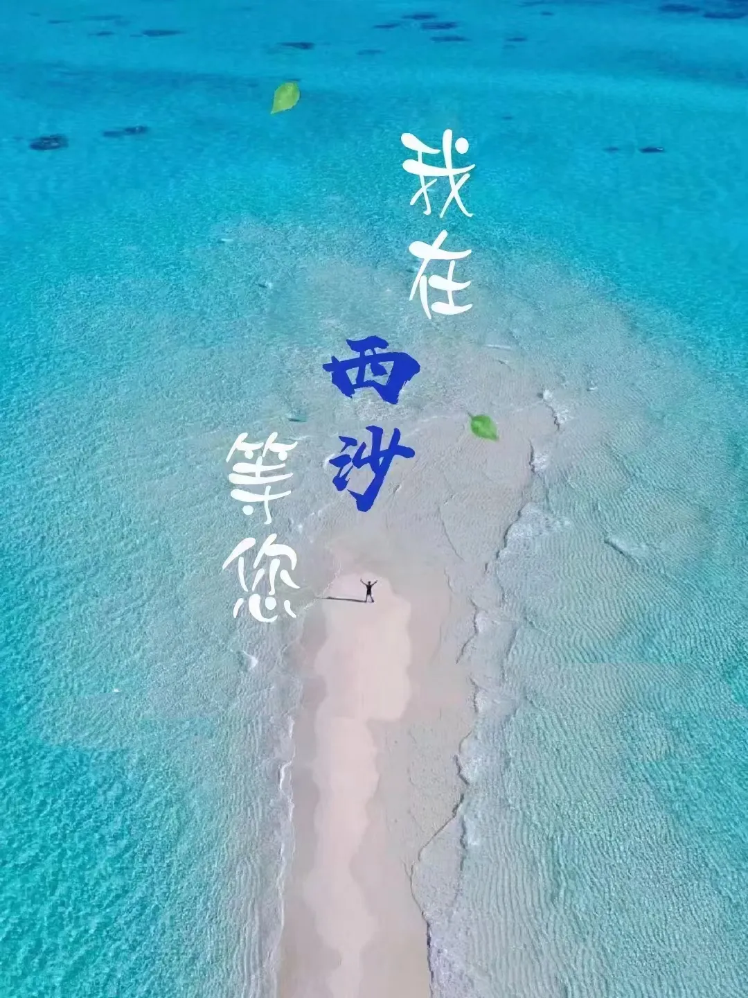 2bf962f21aae18fa313f504f267d60ec-sz_899118