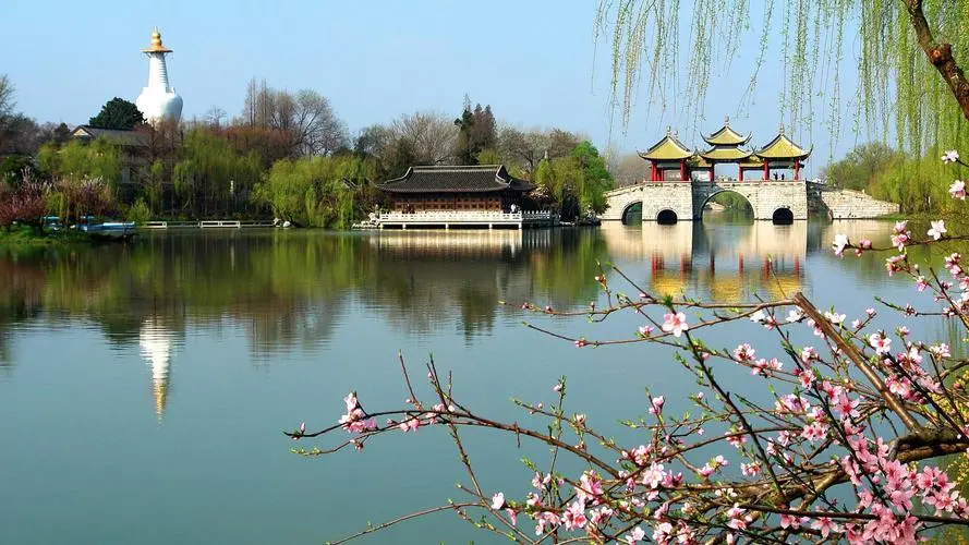 2c0327fc941a3dd8a9aa6324248554f6-sz_97983