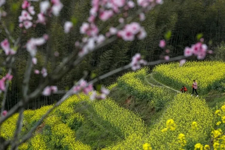 2c399aea7e5d269b1599b15b3a65d11f-sz_190314