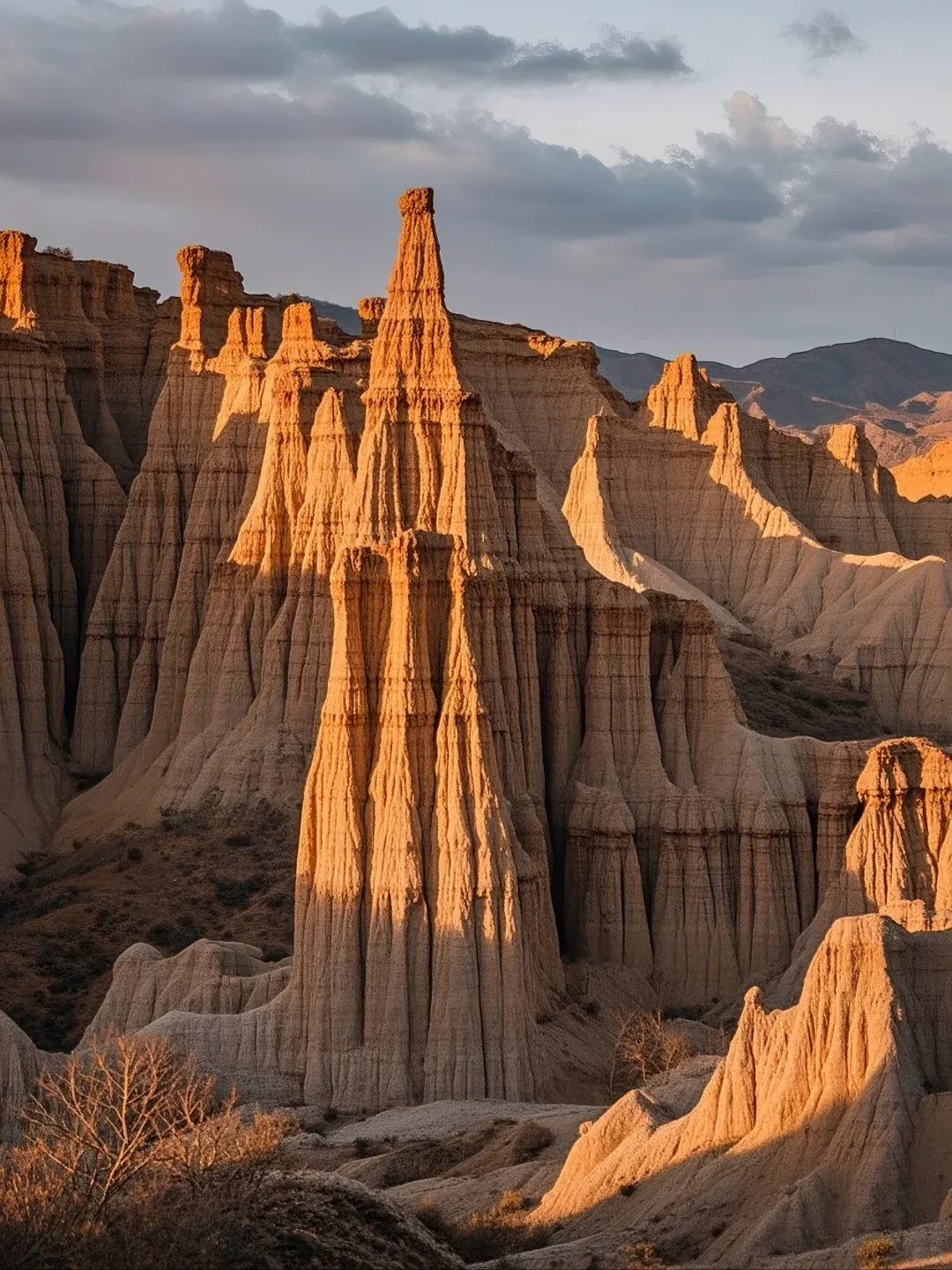 2c3c1e71661a5f0527c38c12f4ee1e4f-sz_2463961-1