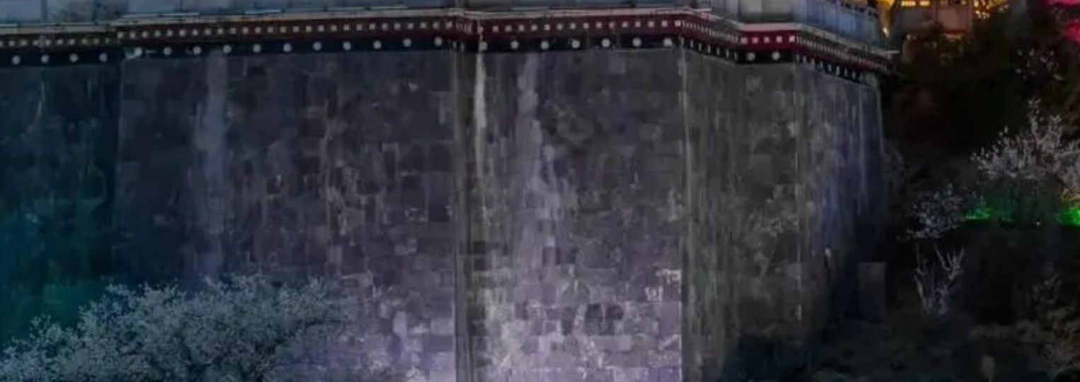 2c4fd363ed1cdd983e68be656948559e