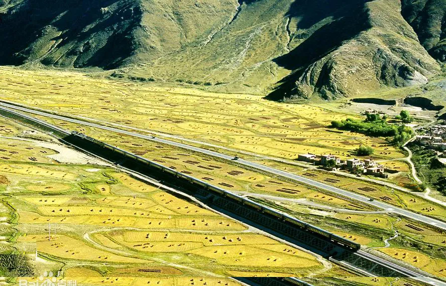 2cb415d0c983516c8a93e4097a7c1b10-sz_716606