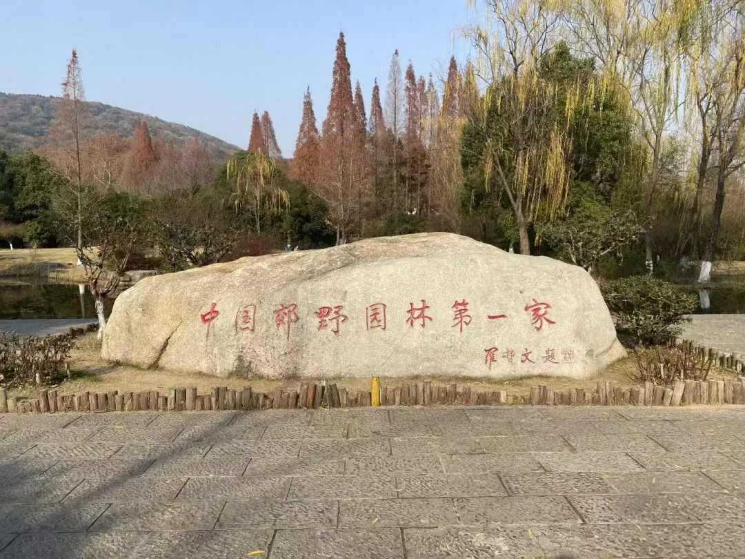 2cbbacddf910c7253bcacceb00ad9aa0-sz_898639