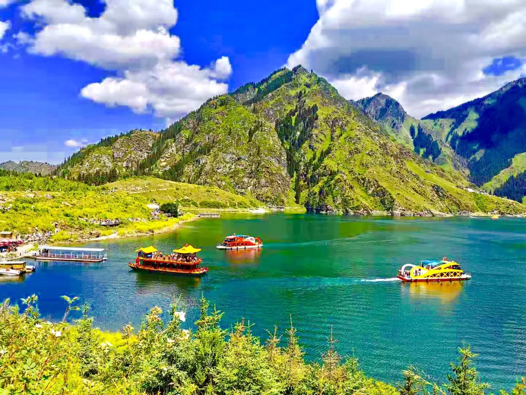 2cd681959f535cb8697ac3ebb3249881-sz_729834