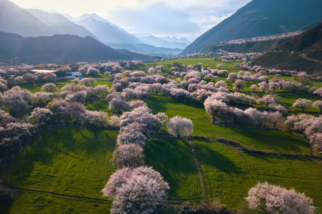 2cdf121b5c28828c6a3eda13ddf3e297-sz_2847625