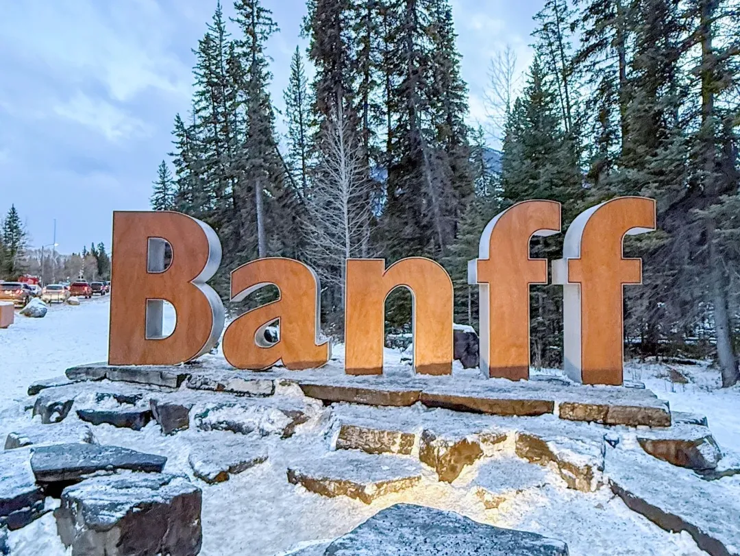 2d17a4d9793f11ddfd6fe558079d5fb9-sz_580340-1