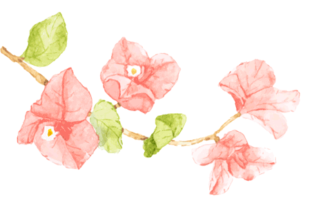 2d8ce34bda21013163d68a4bb06a6447-sz_1723174