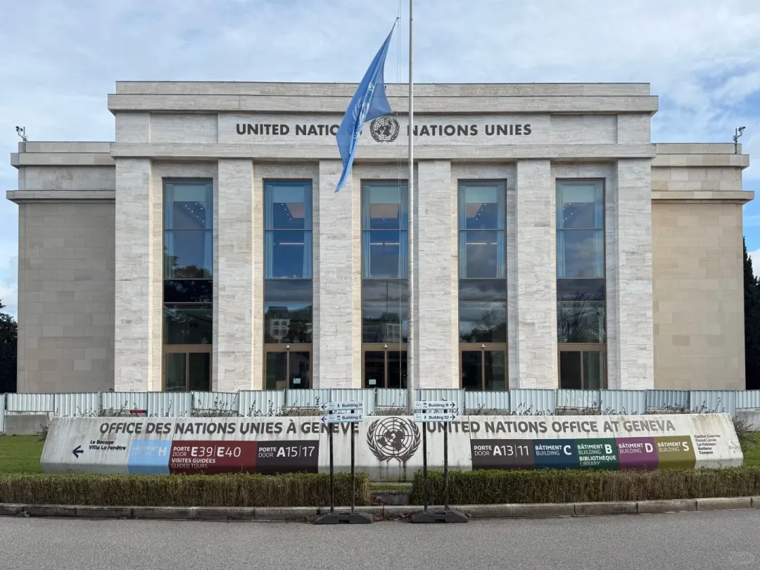 2e15a89c476511fb7f8e9631869924b1-sz_452824