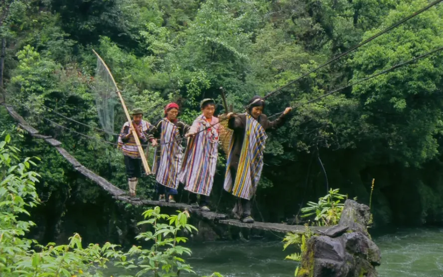 2e3b97fc38ba39801da3df92dc6b1ea0-sz_1369123