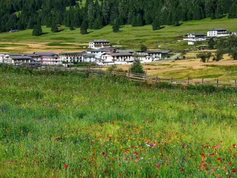 2e423e9ce02355c9bb5565a2fd96da84-sz_204016